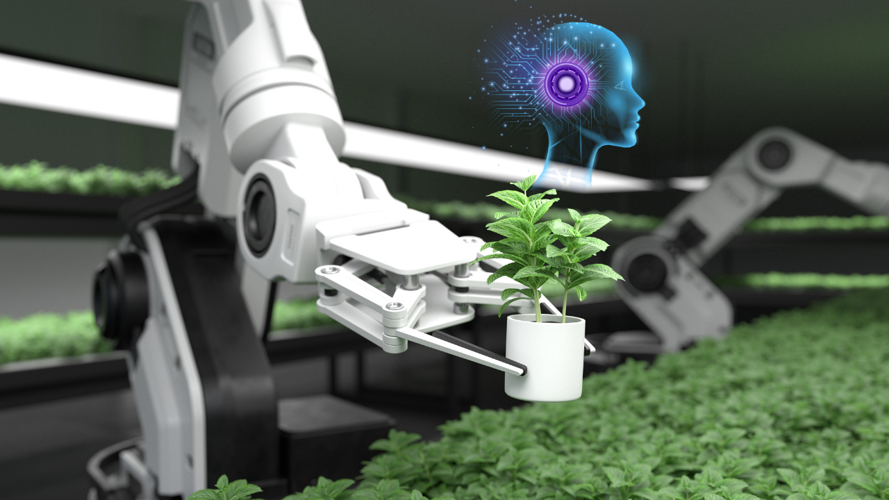 /Content/images/blog/Yapay Zeka Destekli Topraksız Tarım: Gelecek Claros Farm ile Büyüyor